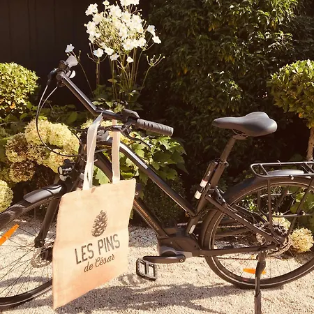فندق Les Pins De Cesar - La Campagne D'etretat 4*