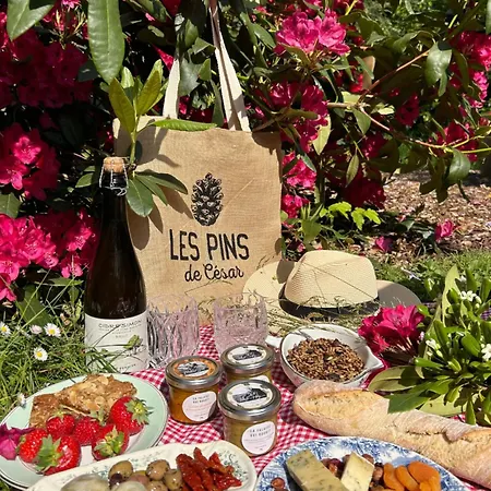 Les Pins De Cesar - La Campagne D'etretat فندق Saint-Jouin-Bruneval