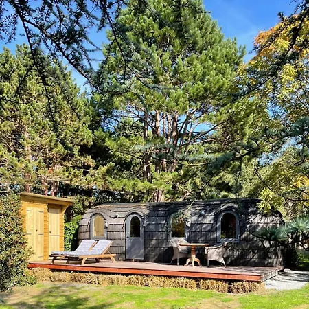 Les Pins De César - La Campagne D'etretat