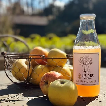 Les Pins De César - La Campagne D'etretat 4* Saint-Jouin-Bruneval