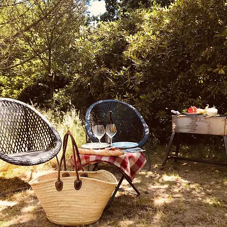 Les Pins De César - La Campagne D'etretat