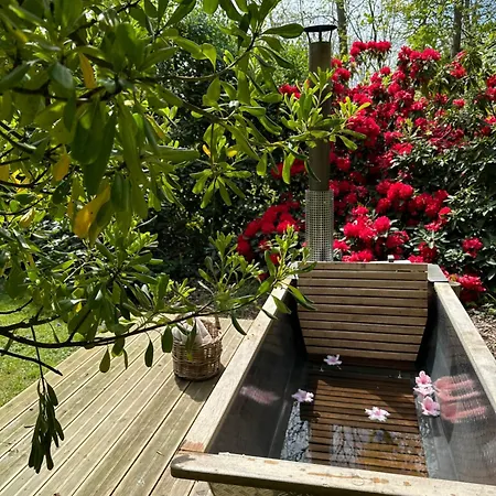 Les Pins De César - La Campagne D'etretat 4*