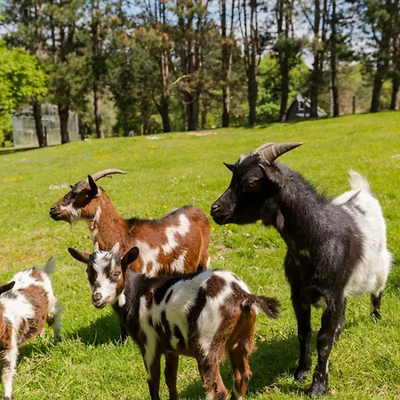 Les Pins De César - La Campagne D'etretat 4*