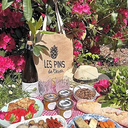 Les Pins De Cesar - La Campagne D'etretat מלון 4*