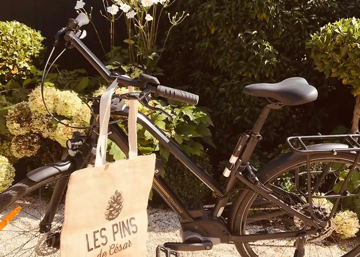 Отель Les Pins De Cesar - La Campagne D'etretat 4*