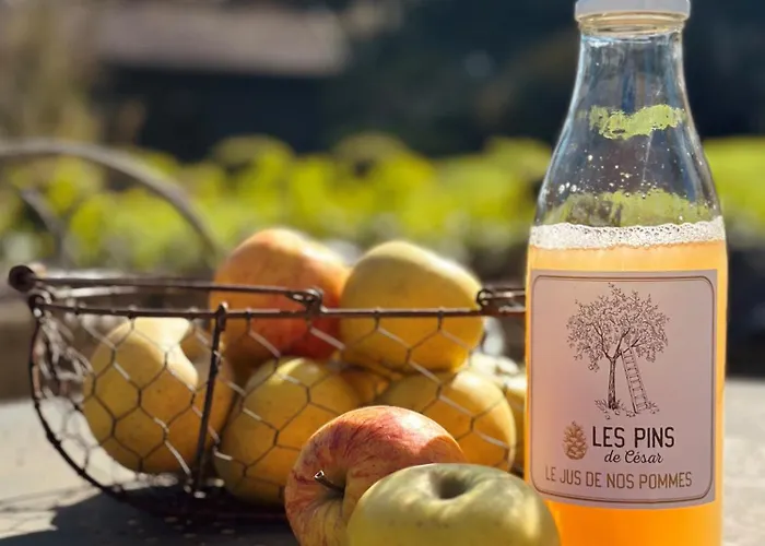 Les Pins De Cesar - La Campagne D'etretat 4* Saint-Jouin-Bruneval