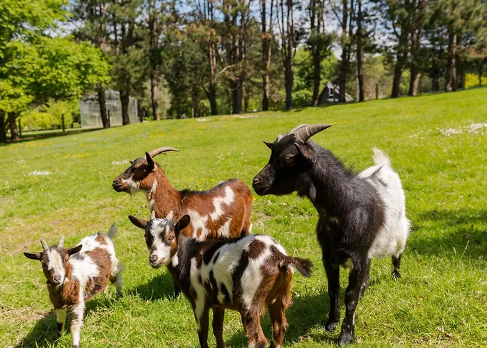 Les Pins De Cesar - La Campagne D'etretat 4*